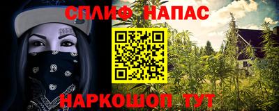 шишки Конаково