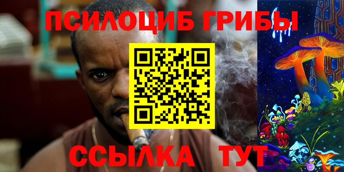 Галлюциногенные грибы Psilocybine cubensis Кондопога